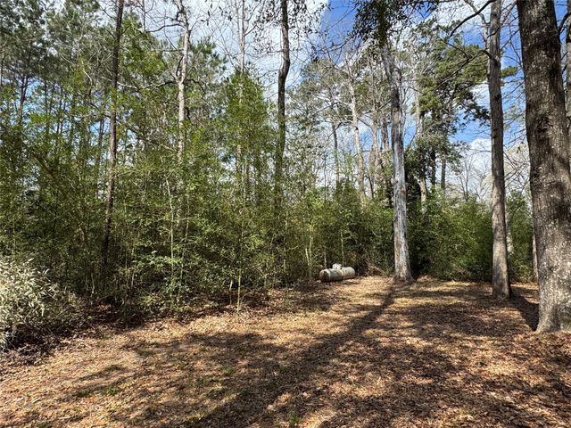 317 Bob Wills Road, Livingston, TX 77351