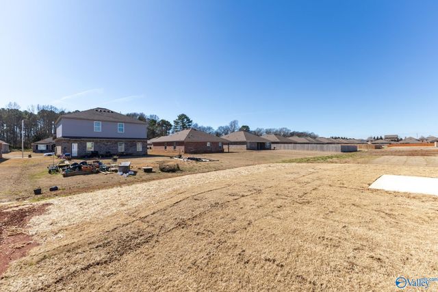 137 Domingues Avenue, Meridianville, AL 35759