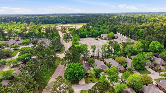 3203 Hickory Brook Lane, Houston, TX 77345