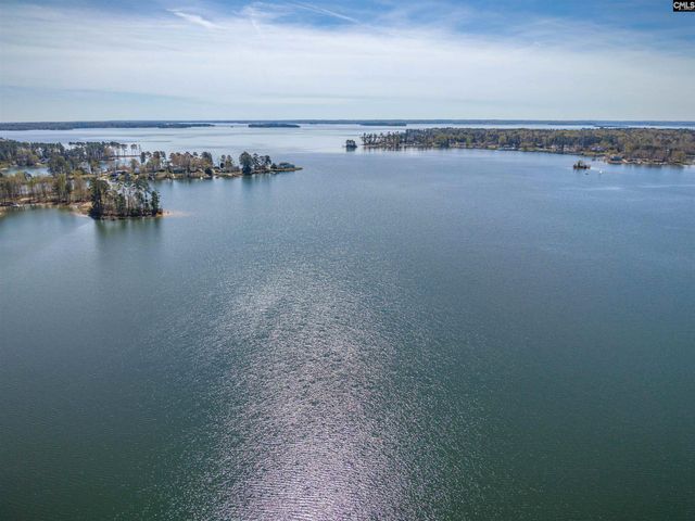 116 CURRIOMAN Drive, Chapin, SC 29036