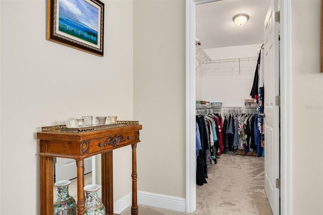 11418 CROWNED SPARROW LANE, Tampa, FL 33626