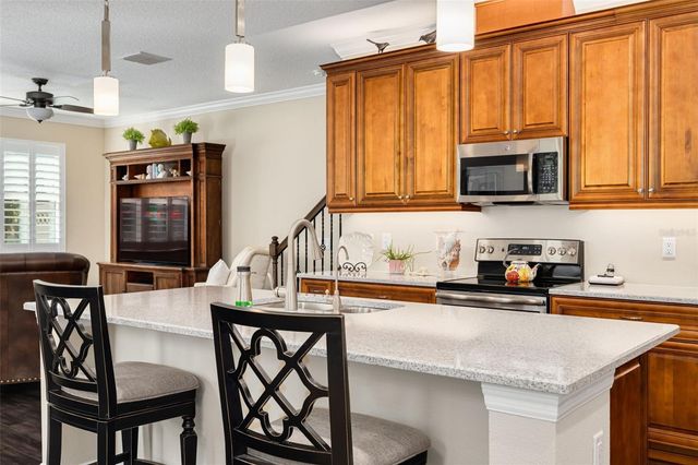 11418 CROWNED SPARROW LANE, Tampa, FL 33626