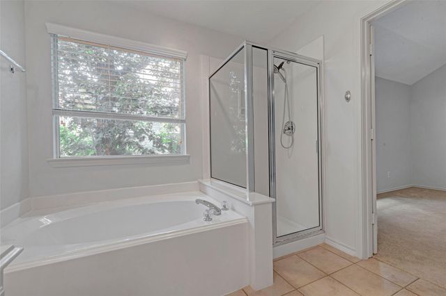 218 Blushwood Place, The Woodlands, TX 77382