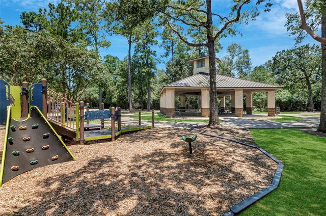 218 Blushwood Place, The Woodlands, TX 77382