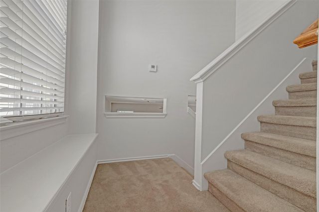 218 Blushwood Place, The Woodlands, TX 77382