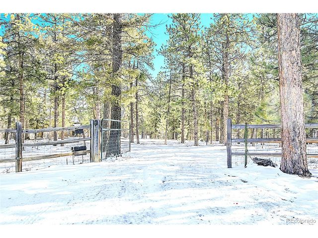 270 Dawson Rd, Pine, CO 80470