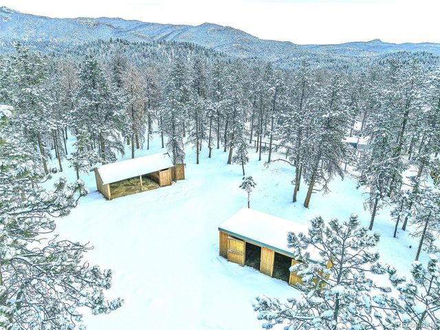 270 Dawson Rd, Pine, CO 80470