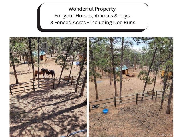 270 Dawson Rd, Pine, CO 80470