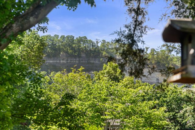 488 Hunt Club Circle, Galena, MO 65656