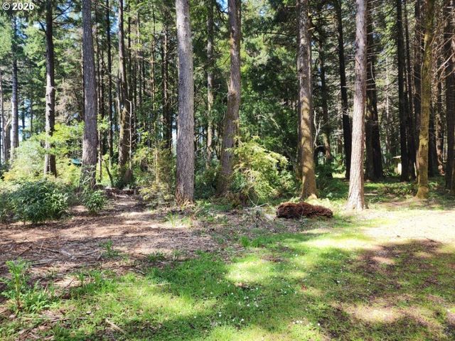 93204 CEMETERY LOOP Rd, Port Orford, OR 97465