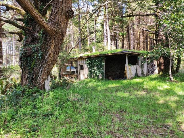 93204 CEMETERY LOOP Rd, Port Orford, OR 97465