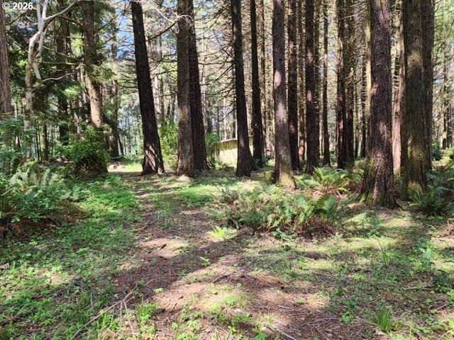 93204 CEMETERY LOOP Rd, Port Orford, OR 97465