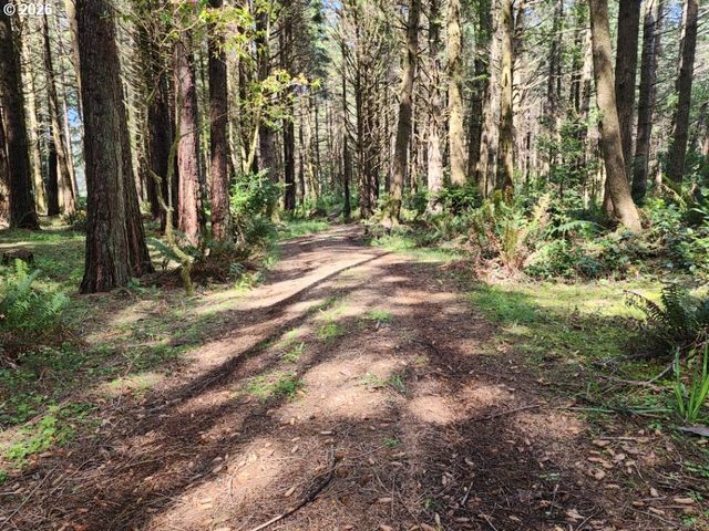 93204 CEMETERY LOOP Rd, Port Orford, OR 97465