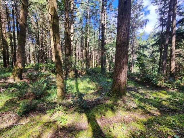 93204 CEMETERY LOOP Rd, Port Orford, OR 97465