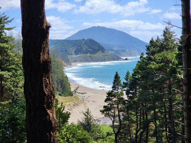 93204 CEMETERY LOOP Rd, Port Orford, OR 97465