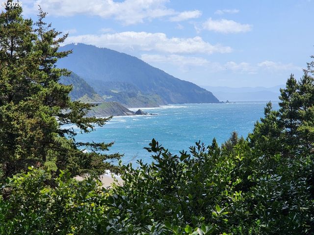 93204 CEMETERY LOOP Rd, Port Orford, OR 97465