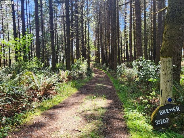 93204 CEMETERY LOOP Rd, Port Orford, OR 97465