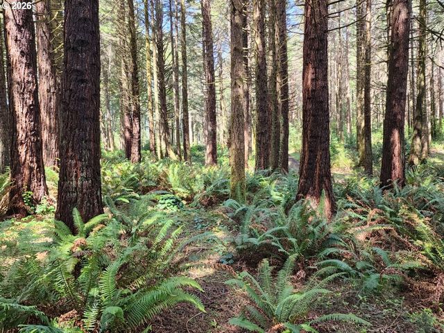 93204 CEMETERY LOOP Rd, Port Orford, OR 97465