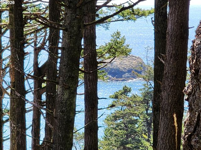 93204 CEMETERY LOOP Rd, Port Orford, OR 97465