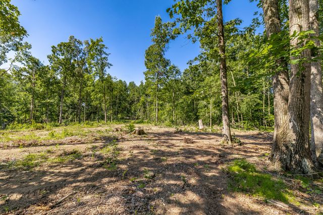 0 Belcher Hollow Road, Cottontown, TN 37048