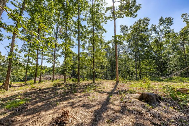 0 Belcher Hollow Road, Cottontown, TN 37048