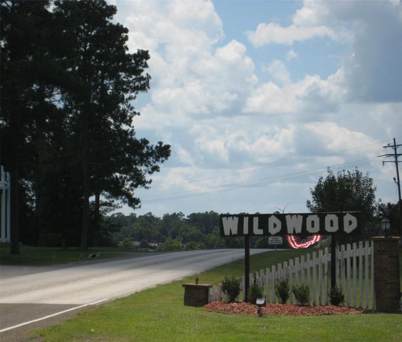 101 Locust, Village Mills, TX 77663