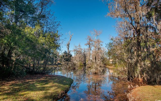 27 Pheasant Loop Unit 293, Georgetown, SC 29440