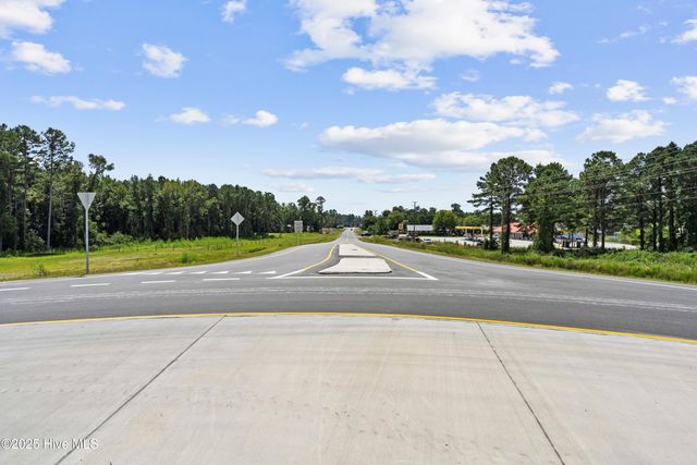 103 Top Tobacco Road, Lake Waccamaw, NC 28450