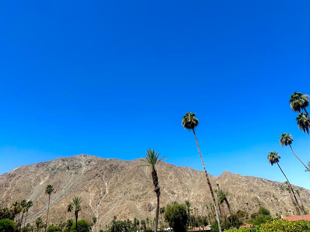 Image 9 of property listing at 46516 Arapahoe Drive, Indian Wells, CA 92210