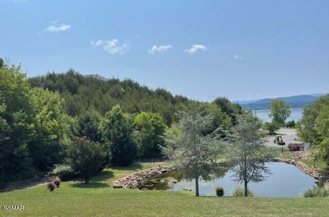 1516 Waterford, Newport, TN 37821