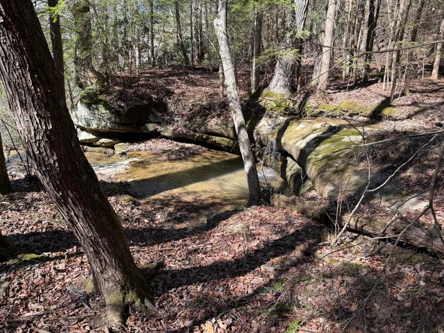 241 Nolan Road, Frenchburg, KY 40322