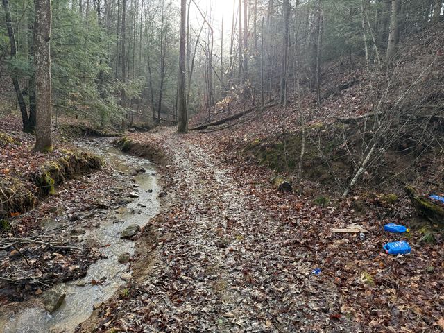 241 Nolan Road, Frenchburg, KY 40322