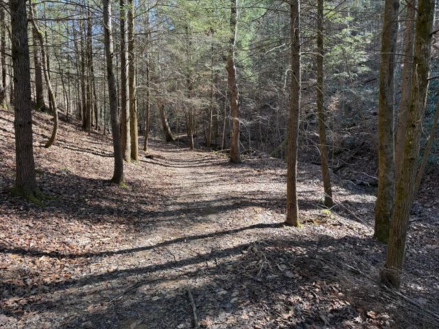 241 Nolan Road, Frenchburg, KY 40322