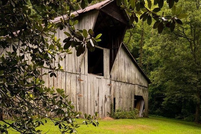 3709 Mobleys Cut Rd, Thompsons Station, TN 37179
