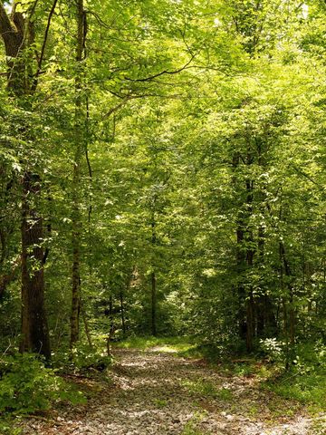3709 Mobleys Cut Rd, Thompsons Station, TN 37179