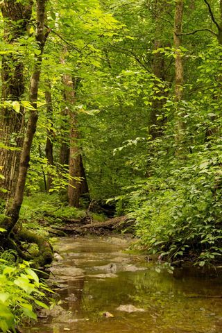 3709 Mobleys Cut Rd, Thompsons Station, TN 37179