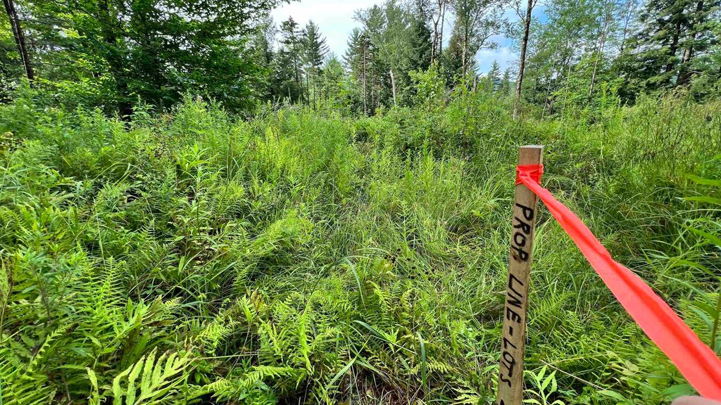 1416 Clif Reynolds Road # 3, Cambridge, VT 05444