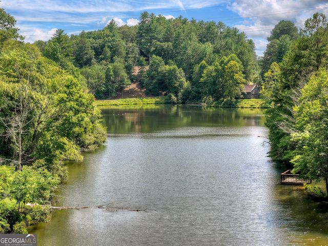 160 Adams Circle, Mineral Bluff, GA 30559