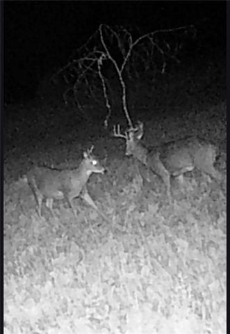 2787 70th Street, Eau Claire, WI 54703