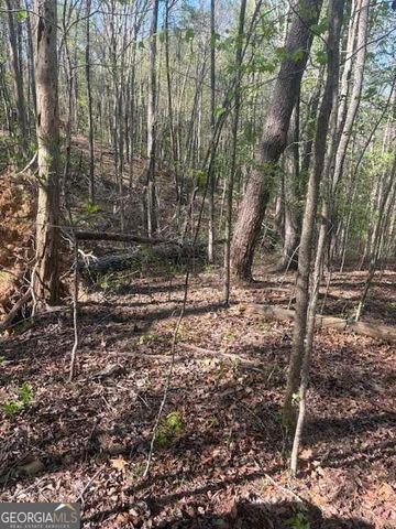 0 Heatherwood Way, Talking Rock, GA 30175
