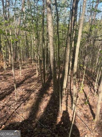0 Heatherwood Way, Talking Rock, GA 30175