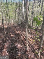 0 Heatherwood Way, Talking Rock, GA 30175