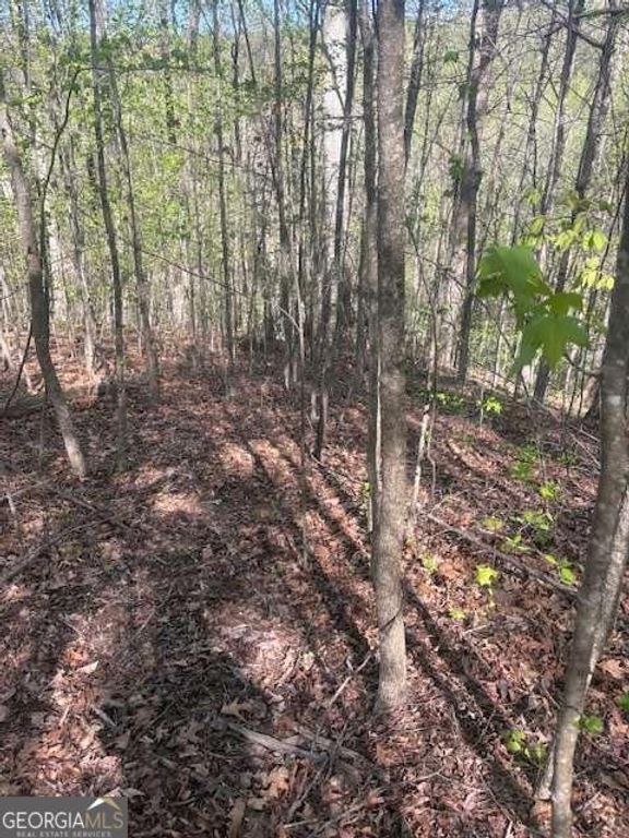 0 Heatherwood Way, Talking Rock, GA 30175