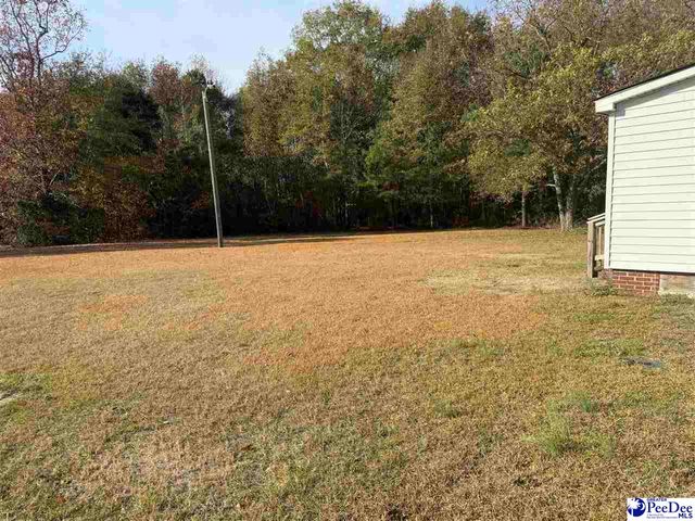 305 Tec Rd, Cheraw, SC 29520