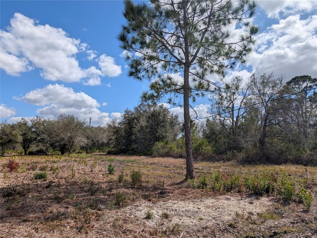 Image 6 of property listing at 154 DESOTO AVENUE, Indian Lake Estates, FL 33855