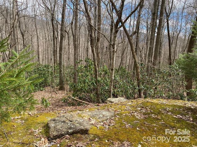 29 Wood Haven Lane 209, Black Mountain, NC 28711