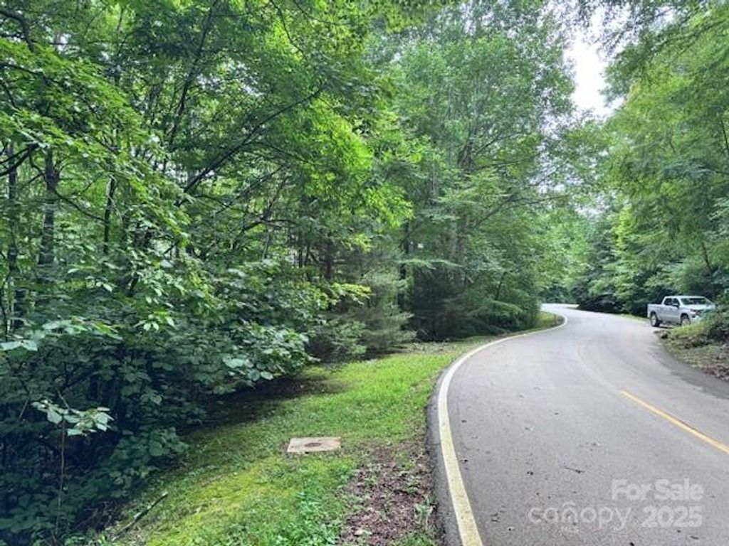 29 Wood Haven Lane 209, Black Mountain, NC 28711