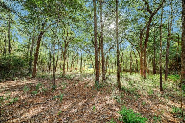189 Rim Rock Road, Huntsville, TX 77340