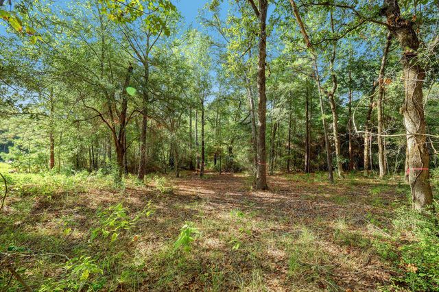 189 Rim Rock Road, Huntsville, TX 77340