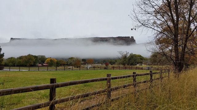 584 20 Road, Grand Junction, CO 81507